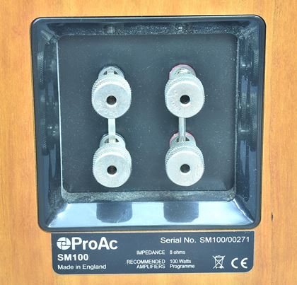 various-ProAc SM100 reference monitors